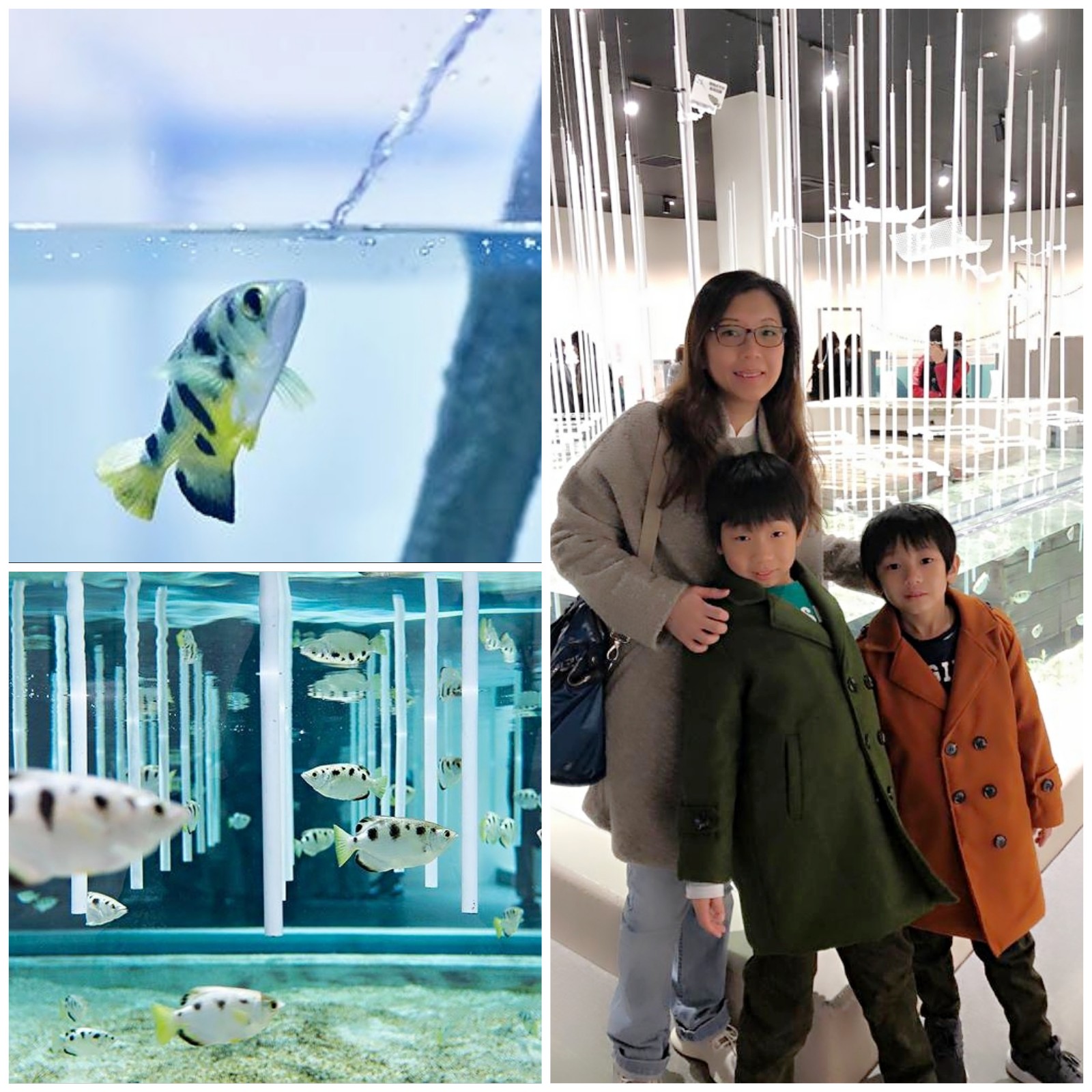 Nifrel in Osaka aquazoo marine animals and family photo
