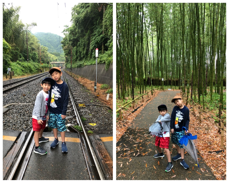 Wonder Years Family Travels BambooPark Kyoto