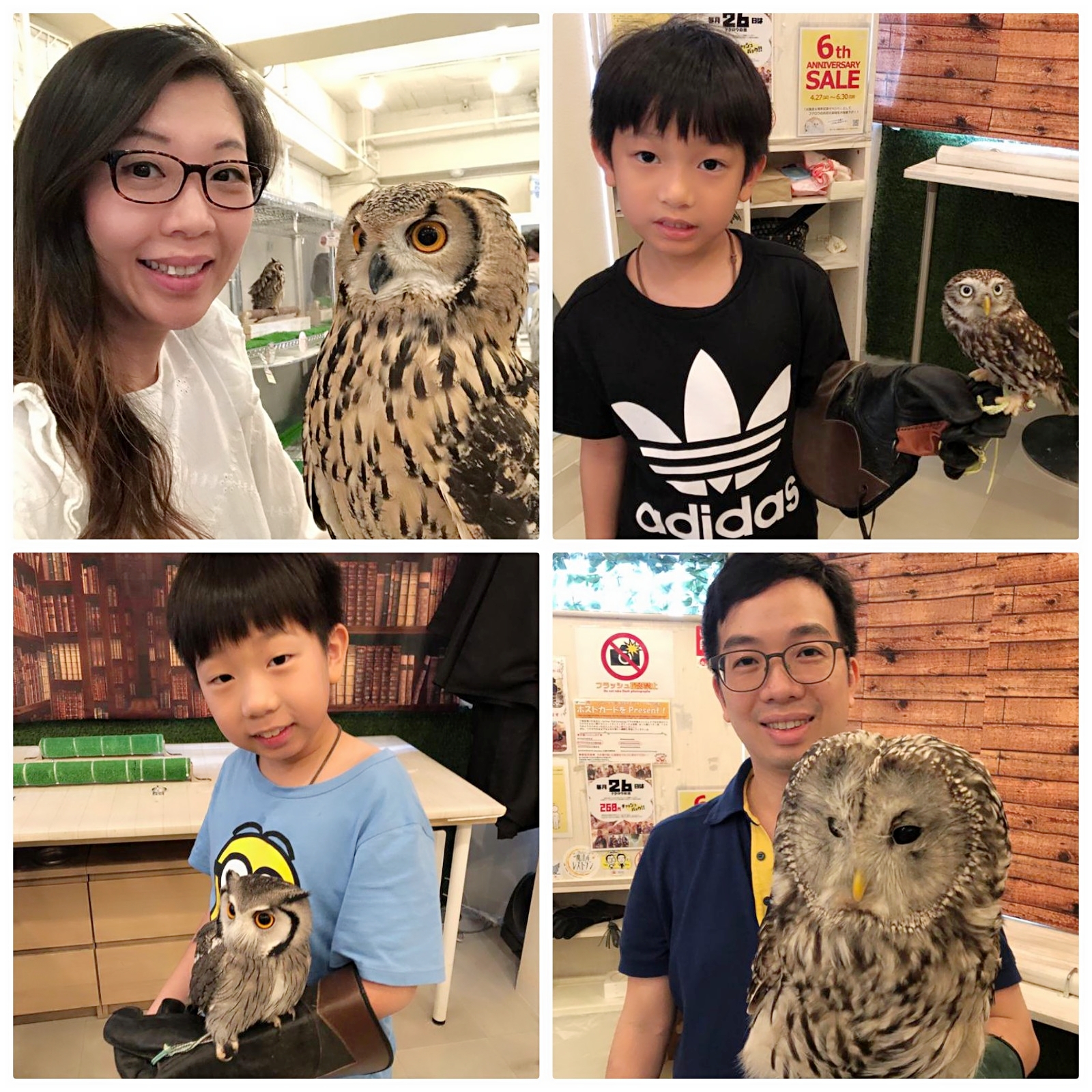 Family individual photos with an owl