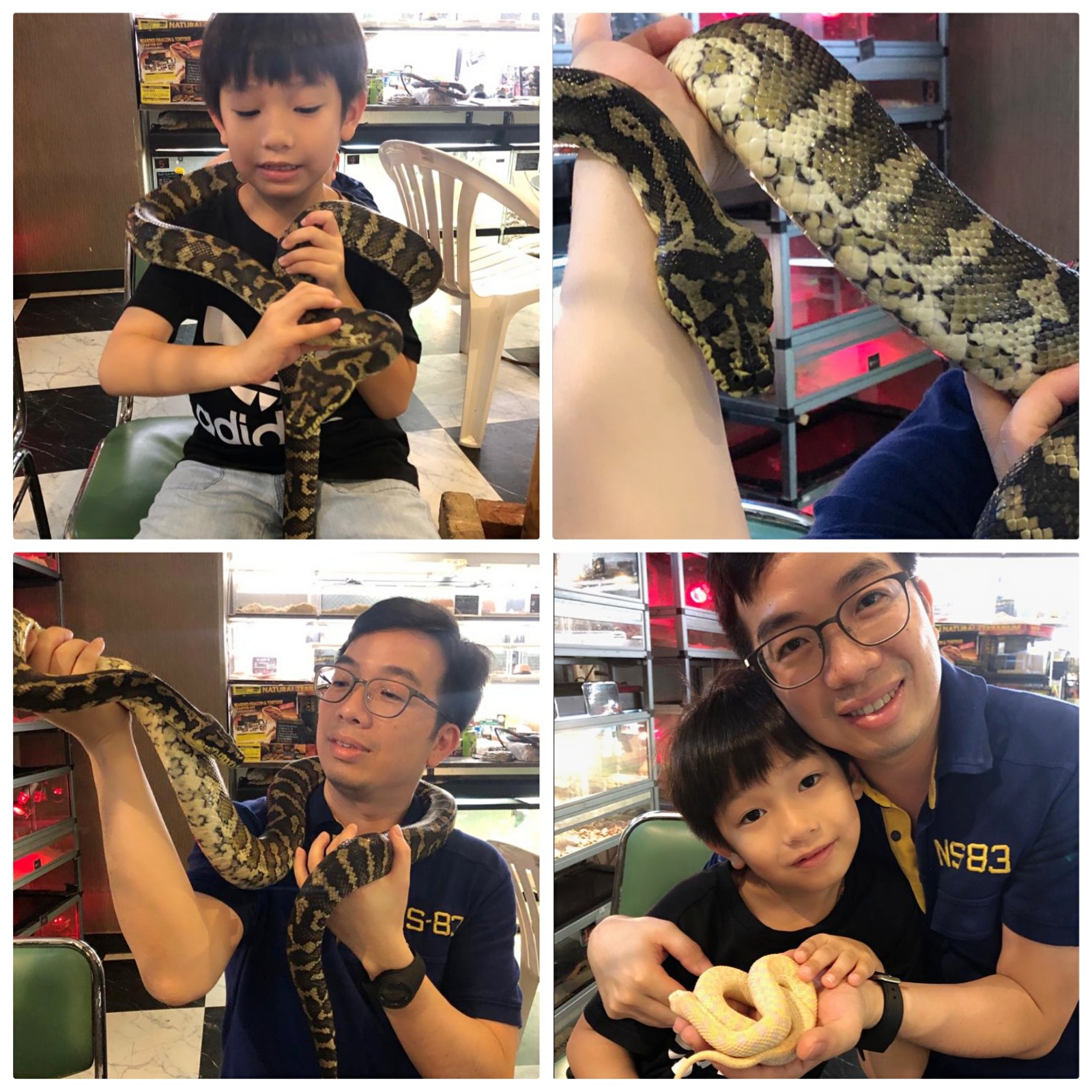 father and child photos with snakes at Osaka Reptile Cafe