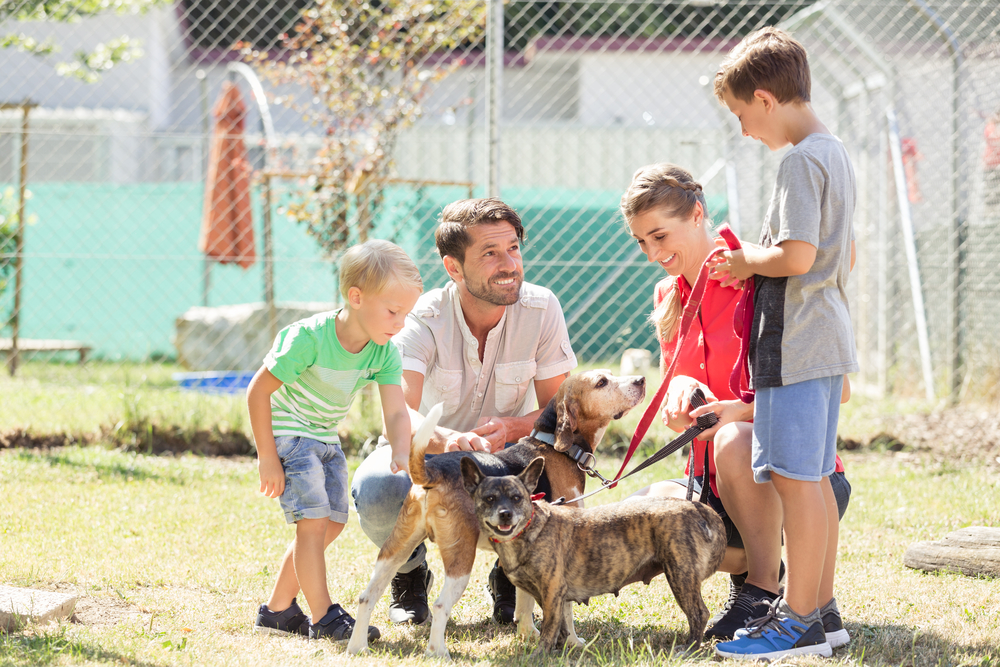 family visiting animal shelter and 2 dogs