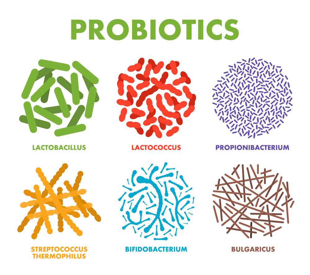 prebiotics and protiotics