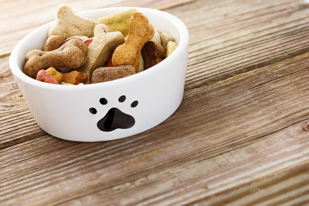 dog biscuits in a dog feeding bowl