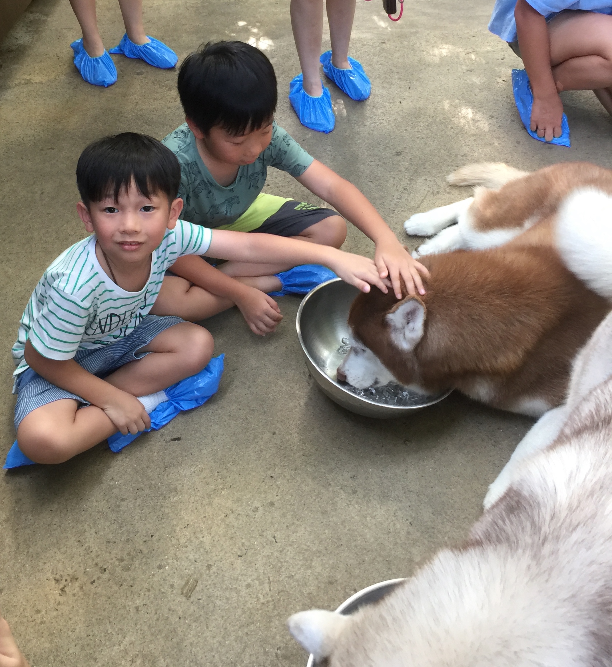 Husky Cafe Bangkok