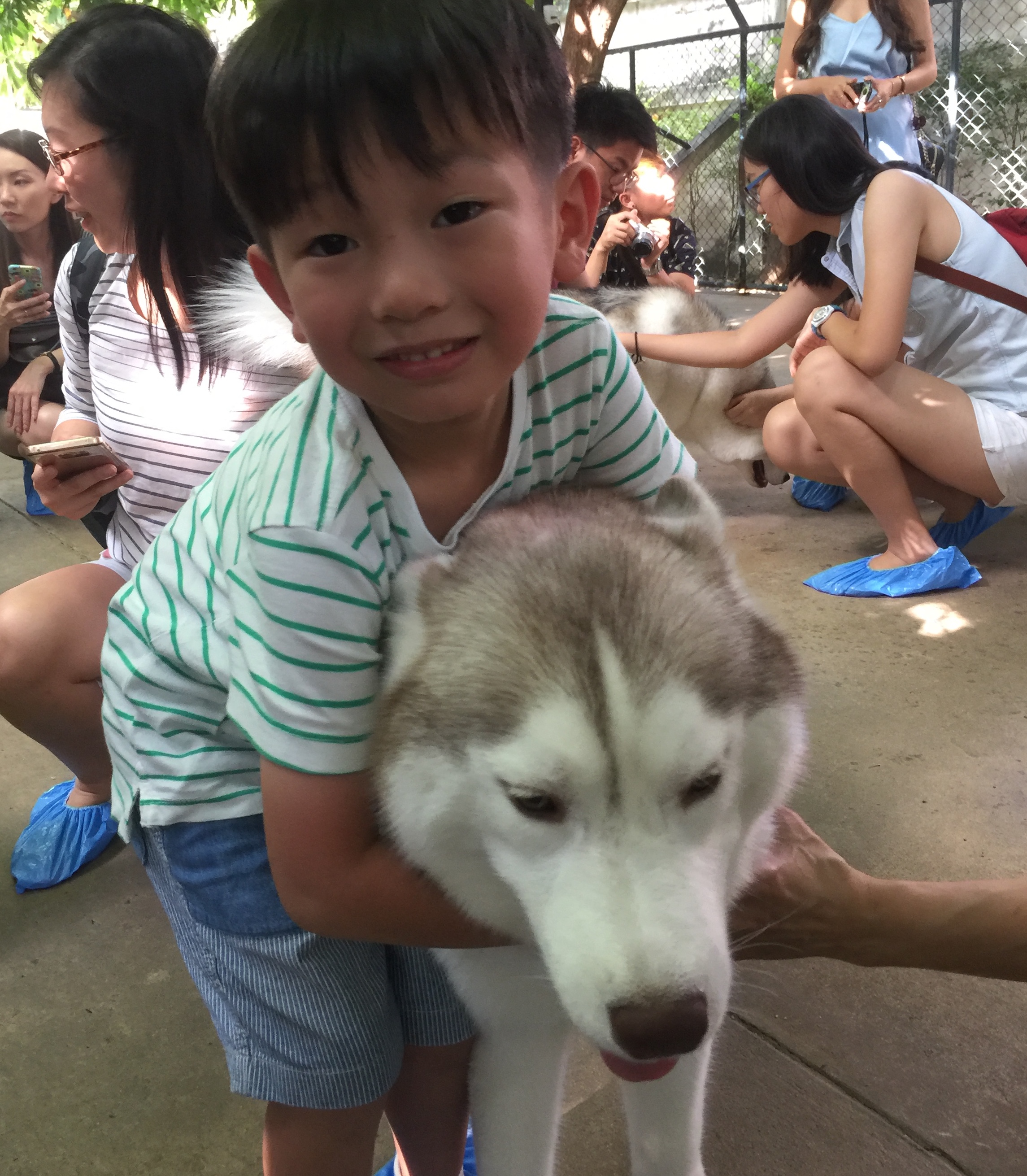 Husky Cafe Bangkok