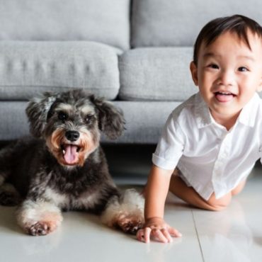 best pets for kids