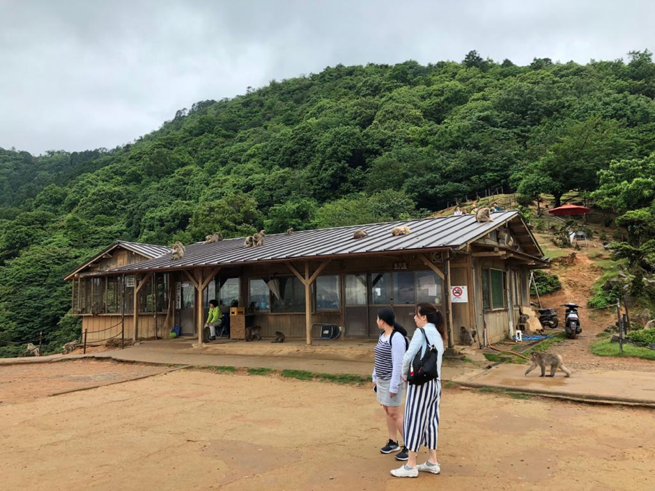 Wonder Years Family Travels Monkey Park Kyoto
