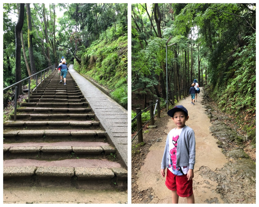 Wonder Years Family Travels Monkey Park Kyoto