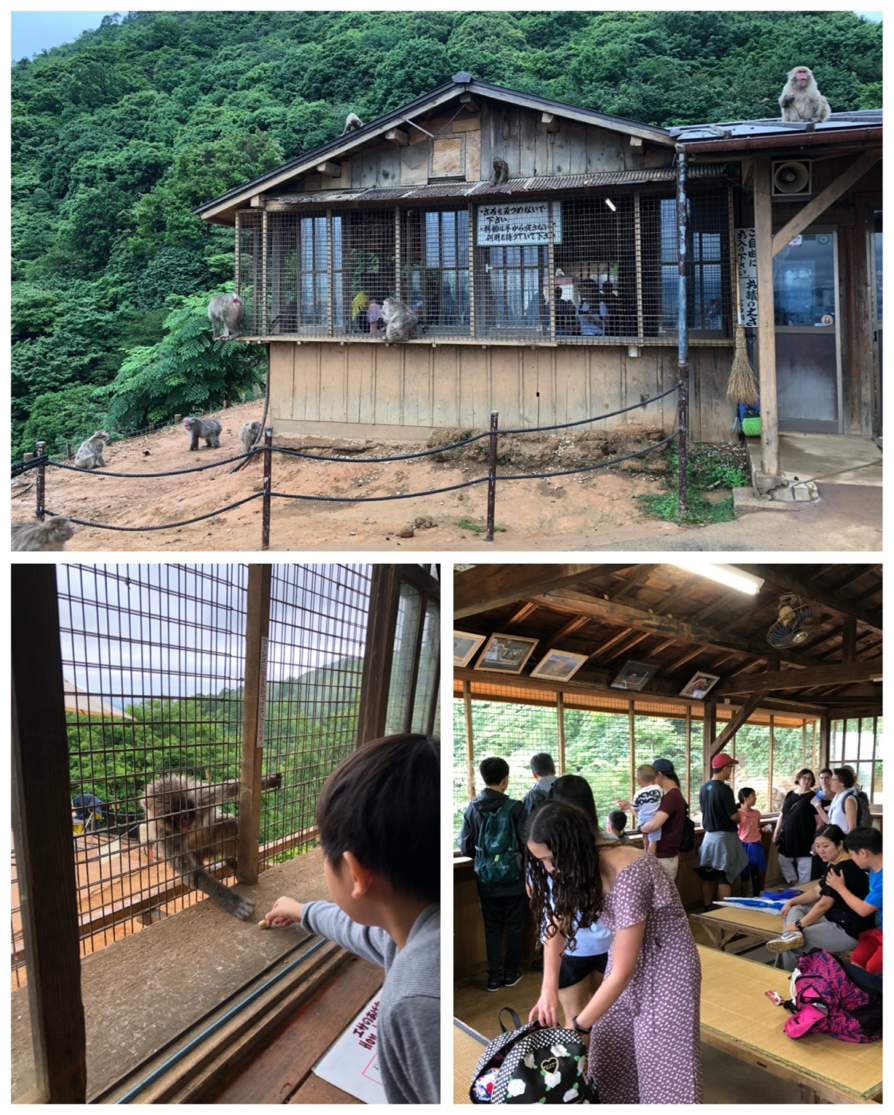 Wonder Years Family Travels Monkey Park Kyoto