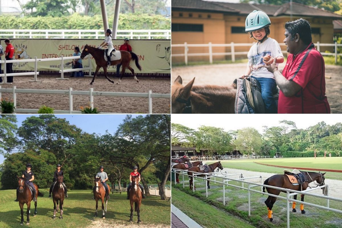 horse riding in singapore
