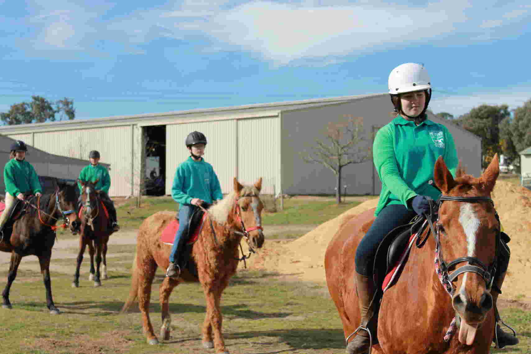 horse riding in singapore