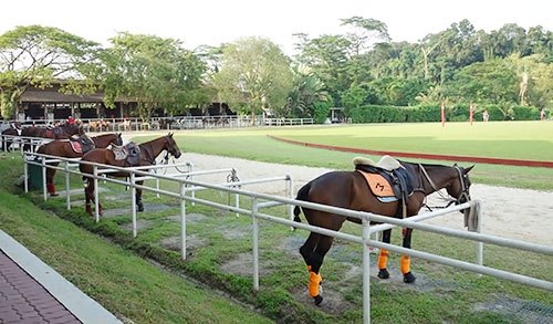 horse riding in singapore