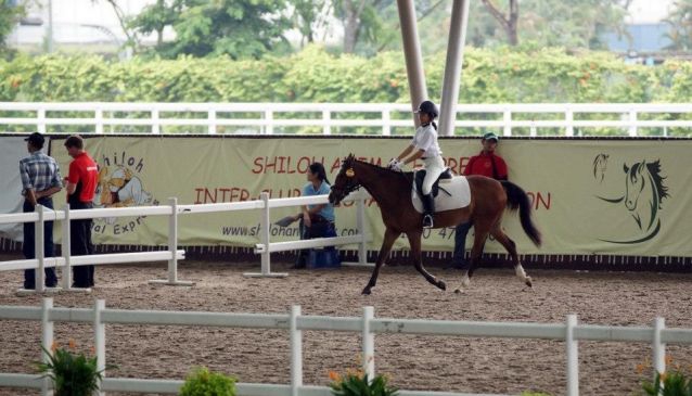 horse riding in singapore