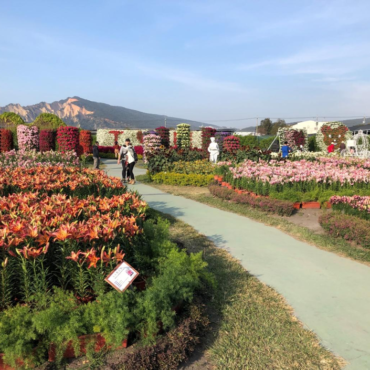 Taichung Flower Market