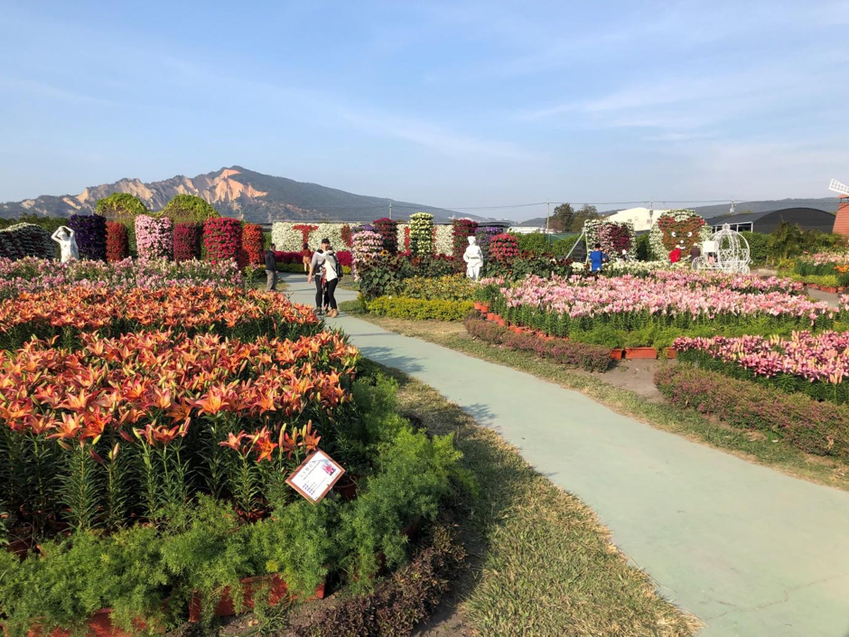 Taichung Flower Market