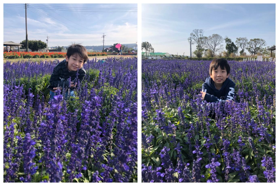 Taichung ZhongShe Flower Market