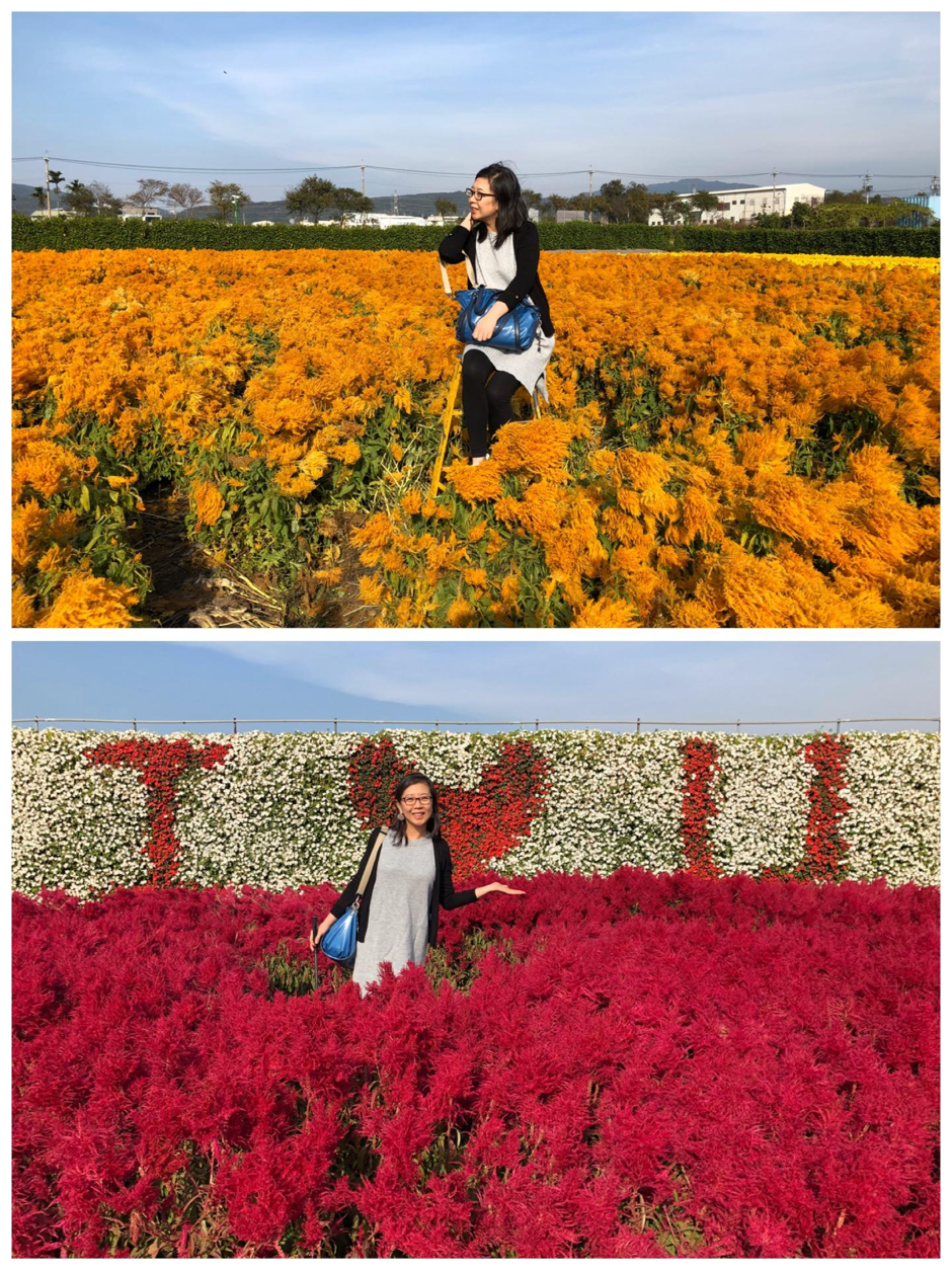 Taichung ZhongShe Flower Market